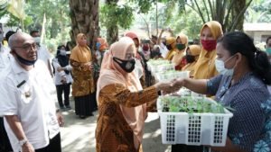 Bupati dan Ketua TP PKK Asahan Ikuti Gertam Cabai