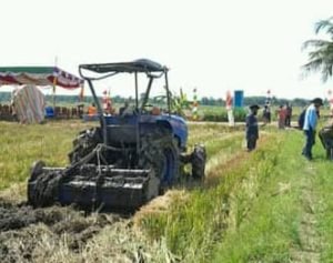 Bupati Banyuasin Panen Padi di Sumber Makmur Muara Padang