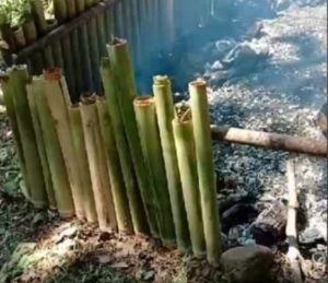 Melestarikan Tradisi Malamang Pagaruyung Sambut Idul Adha