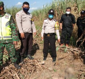 Warga Ogan Ilir Temukan Tengkorak Manusia Saat Menebang Tebu