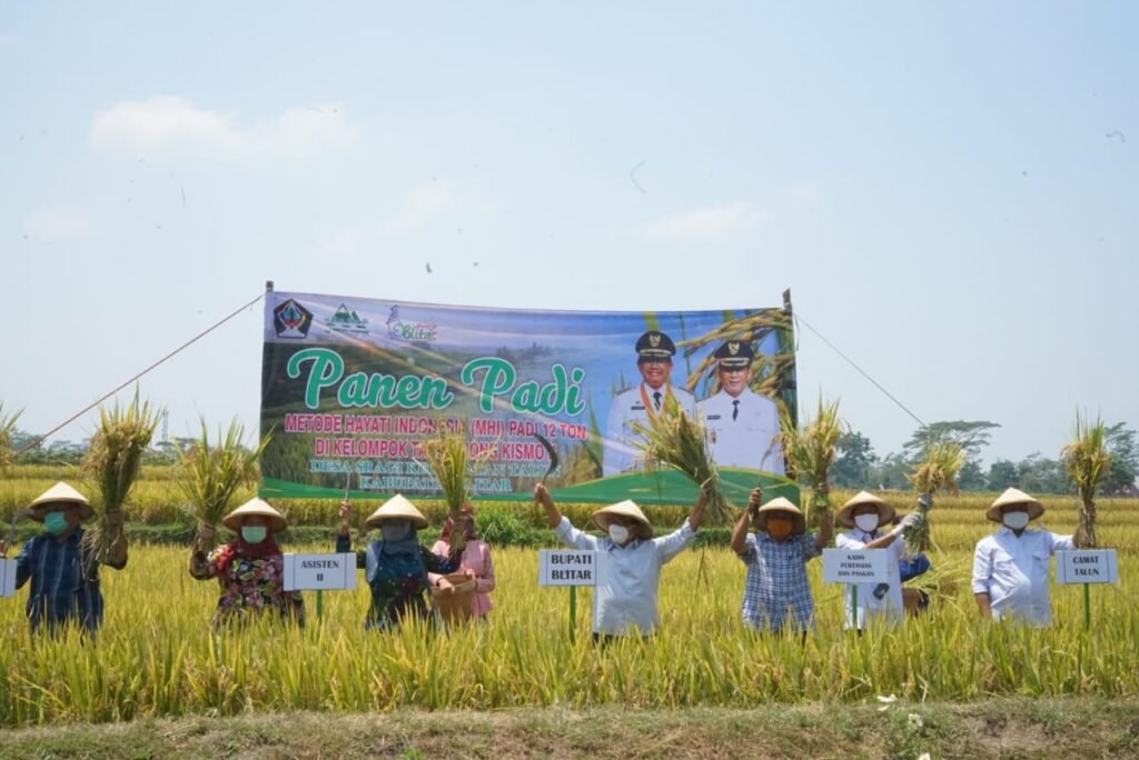MHI di Blitar Hasilkan Padi Hingga 12 Ton per Haktare