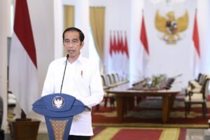 Presiden Jokowi: Tidak Benar bahwa Amdal Akan Dihapus