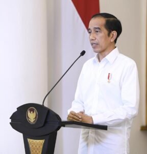 Presiden Jokowi: UU Cipta Kerja Tak Kurangi Kewenangan Daerah