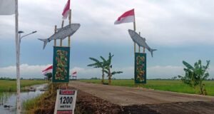 Terima Kasih Pak Tentara, Jalan di Desa Kami Menjadi Bagus