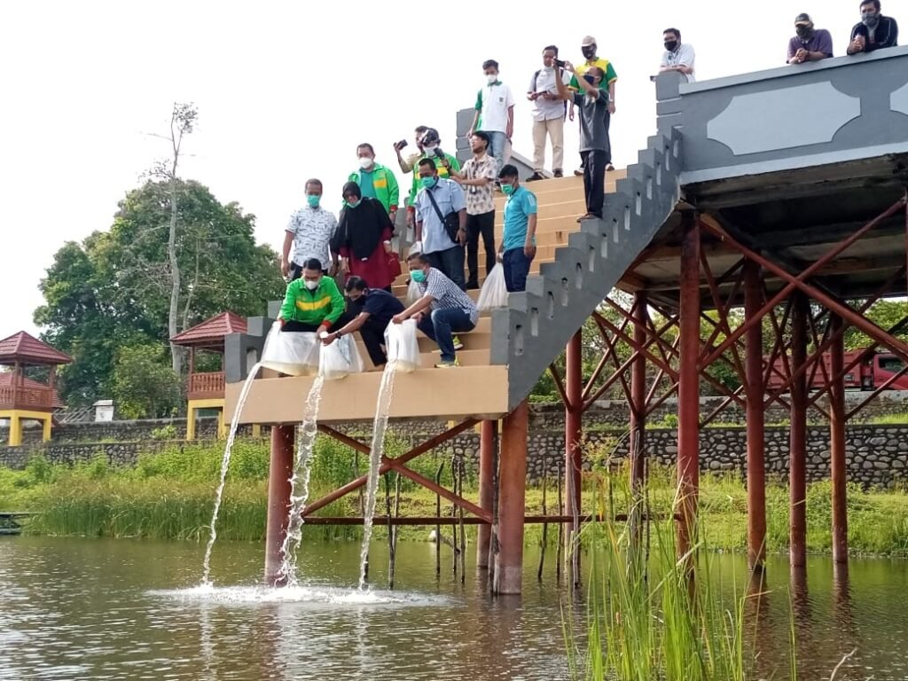 Dinas Perikanan Muba Tebar 135.000 Bibit Ikan di Danau Ulak Lia