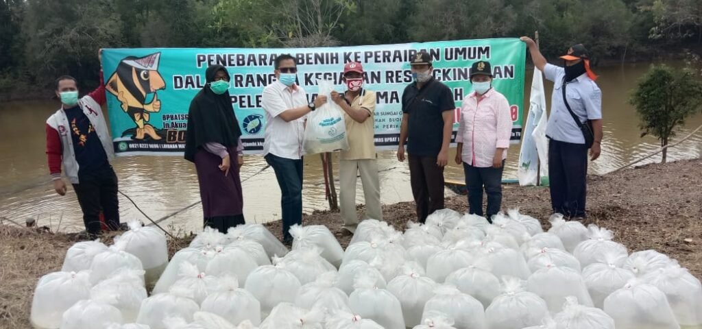 Puluhan Ribu Bibit Ikan Disebar ke Danau Siarak Kabupaten Muba