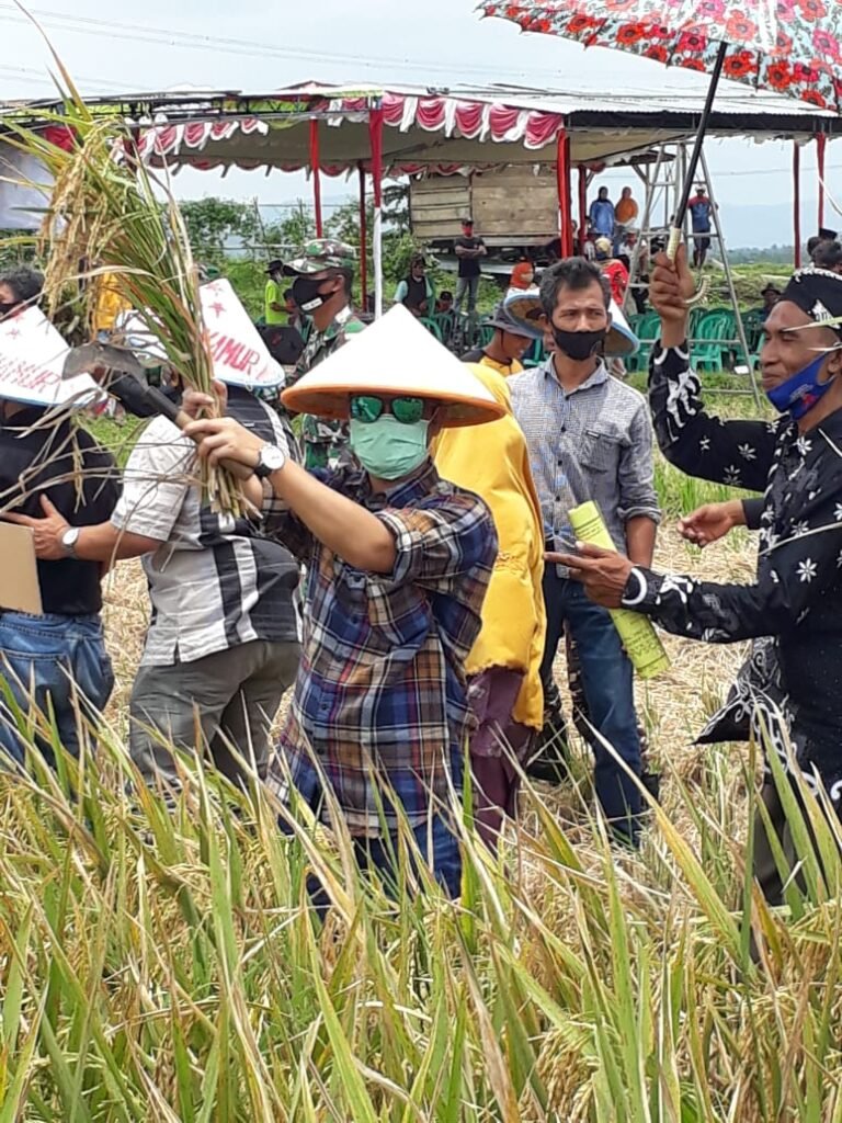 Tak Ingin Petani Purwadadi Lakbok Mati di Lumbung Padi, Cuking Upayakan Mesin Padi Terbaik