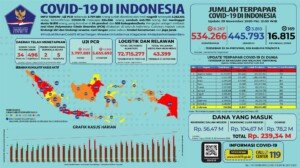 Update 29 November 2020 Korban Covid-19 di Indonesia: 534.266 Positif, 445.793 Sembuh, 16.815 Meninggal