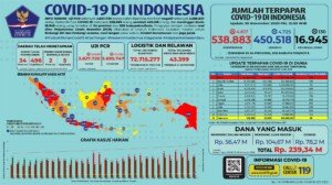 Update 30 November 2020 Korban Covid-19 di Indonesia: 538.883 Positif, 450.518 Sembuh, 16.945 Meninggal