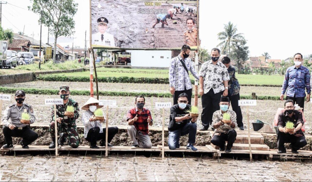 APBD 2020 Ciamis Diproyeksi untuk Pengembangan 10 Hektar Lahan Pertanian Padi Organik