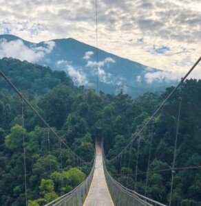 Situ Gunung Suspension Bridge Sukabumi Jabar (Julashma Munggahan Adhitama / Mattanews.co)