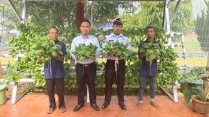 Lapas Banyuasin Panen Sayur Mayur Hidroponik