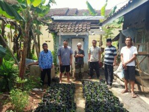 Ketua DPRD Ciamis Lakukan Gerakan Menanam Padi Menuju Kedaulatan Pangan