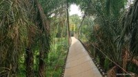 Jembatan Gunung Megang Luar Putus, 4 Orang Terjatuh, Ini Fakta Lainnya..