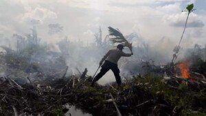 Anggota Polsek Sungsang Banyuasin Berjibaku Padamkan Api Kebakaran Lahan