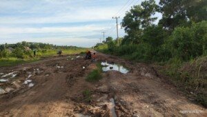 Satu Jalan Penghubung Tiga Desa Rusak Parah, Warga Rawa Jitu Selatan Minta Pemkab Tuba Turun Tangan 