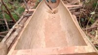 Perjuangan Pria Obaikitu Papua Rakit Perahu di Tengah Hutan Jelang Natal