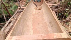 Perjuangan Pria Obaikitu Papua Rakit Perahu di Tengah Hutan Jelang Natal