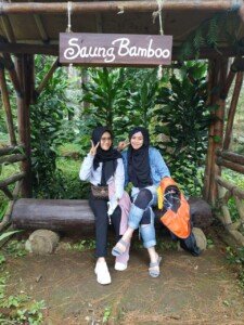 Sofie Berharap Kawasan The Great Asia Africa Nyaman Kembali