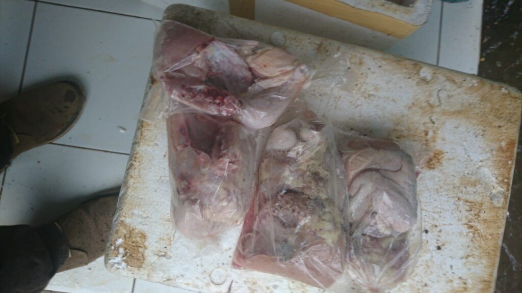 KPM Ngamuk Dapati Komoditi Ayam Program BPNT di Ciamis, Penuh Lalat dan Hampir Busuk