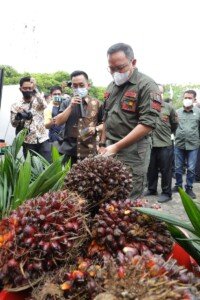 Muba Ujung Tombak Diplomasi Sawit Indonesia Berdaulat