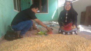 Harga Kedelai Melangit, Pengrajin Tempe di Banyuasin Mengeluh