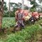 Sule: Angkut Sayur dari Ladang Bukan Soal Mudah