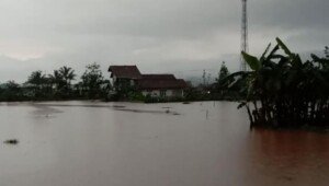 Diguyur Hujan Deras, Puluhan Hektare Sawah dan Kolam di Ciamis Rusak