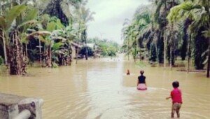 Intensitas Hujan Tinggi, Enam Kecamatan di Aceh Tamiang Terendam Banjir