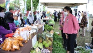 Wujudkan Ketahanan Pangan saat Pandemi, Thia Ajak KWT Muba Lakukan Inovasi