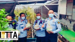 Hasil Panen Melon WBP Lapas Kelas II A Karawang Dibeli Langsung Kepala Lapas
