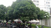 Parkir Dihalaman Pemkot, Sepeda Motor Tegja Honorer Raib di Gondol Maling