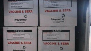 Distribusi Vaksin Covid-19, DKI Jakarta Terima 39.200 Dosis Tahap Awal