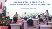 Perkuat Sektor Pertanian Nasional dengan Skala Ekonomi dan Teknologi