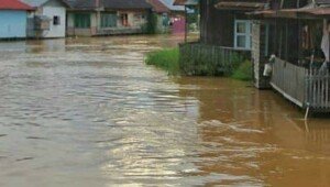 Sebanyak 7 Kabupaten/Kota Terdampak Banjir di Kalimantan Selatan