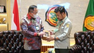 Pertama Lakukan Replanting Sawit, Muba Juga Garap Hulu-Hilir Sawit