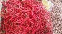 Musim Penghujan, Harga Cabai Merah di Merangin Naik 2 Kali Lipat