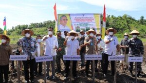 Gubernur Sulbar Canangkan 300 Hektar Penanaman Kedelai di Kabupaten Polman