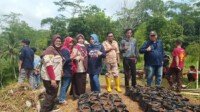 Tanam Padi di Polybag, Istri Ketua DPRD Ciamis : Jangan Takut Kotor