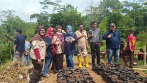 Tanam Padi di Polybag, Istri Ketua DPRD Ciamis : Jangan Takut Kotor