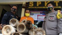 Warga Kabupaten Blitar Terekam CCTV Saat Curi Madu Klenceng Tetangganya