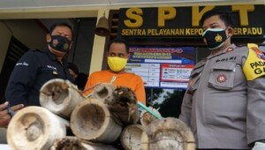 Warga Kabupaten Blitar Terekam CCTV Saat Curi Madu Klenceng Tetangganya