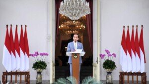 Presiden Jokowi Perkenalkan Jajaran Dewan Pengawas dan Direktur INA