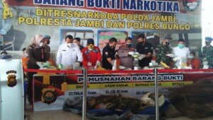 Polda Jambi Musnahkan Narkotika Senilai 35 Miliar