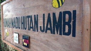 Mitra Binaan PLN Go International, Ekspor Madu Hutan Jambi ke Singapura