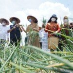 HD Resmikan Sriwijaya Science Tehno Park Sebagai Pusat Agro Wisata dan Edukasi Masyarakat