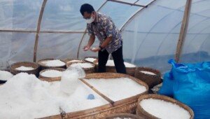 Garam Tunnel Tlogopragoto, Atraksi Wisata Baru di Kebumen