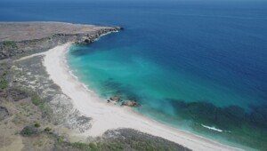 Maraknya Jual Beli Pulau, KKP Sertipikasi 47 Bidang Tanah di 41 Pulau Kecil