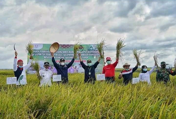 Bupati Banyuasin Sumsel Askolani Jasi panen padi IP.100 (Dok. Humas Pemkab Banyuasin / Mattanews.co)