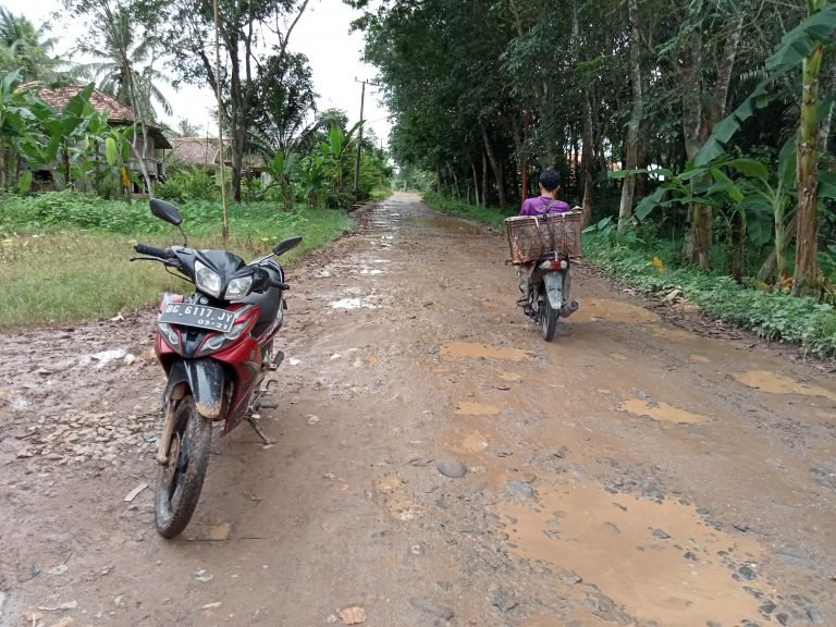 Jalan Sengaji Desa Pulau Harapan, Kecamatan Sembawa Kabupaten, Banyuasin Sumsel mengalami rusak parah (Nasir / Mattanews.co)